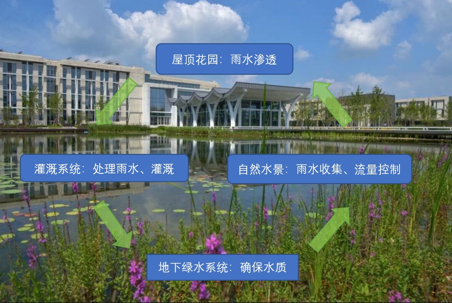 循环图